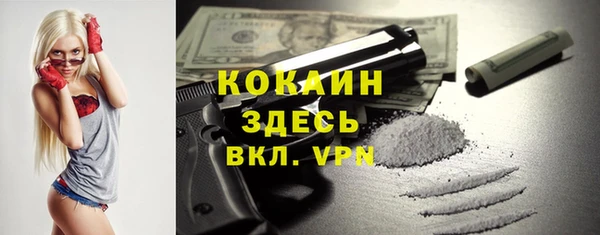 ГАЛЛЮЦИНОГЕННЫЕ ГРИБЫ Коряжма