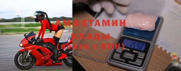 ГАЛЛЮЦИНОГЕННЫЕ ГРИБЫ Коряжма