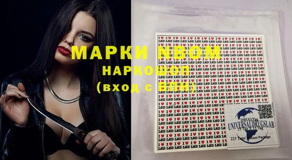 ГАЛЛЮЦИНОГЕННЫЕ ГРИБЫ Коряжма