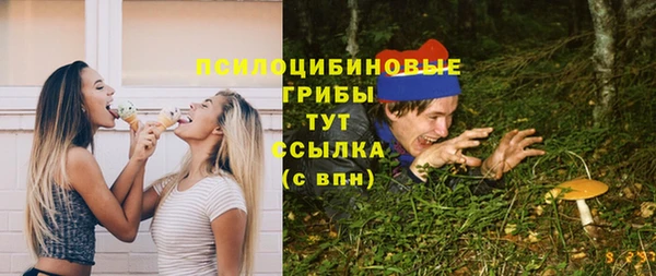 молекула духа Костерёво