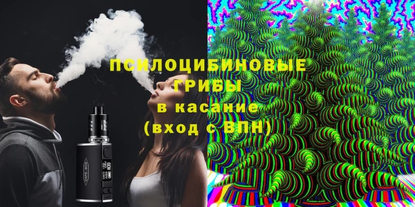 молекула духа Костерёво