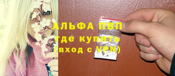 ГАЛЛЮЦИНОГЕННЫЕ ГРИБЫ Коряжма