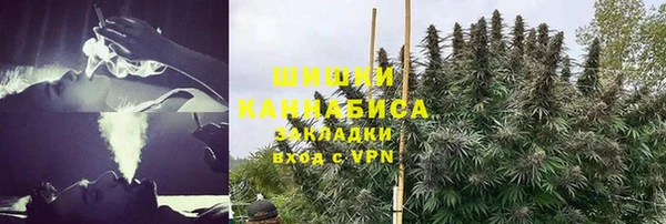 молекула духа Костерёво